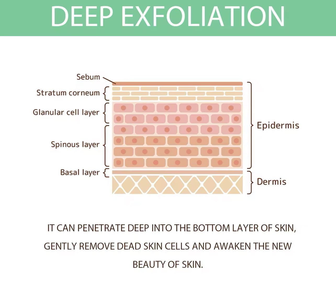 Herbal Exfoliating Gel Deep Cleansing & Blackhead Removal