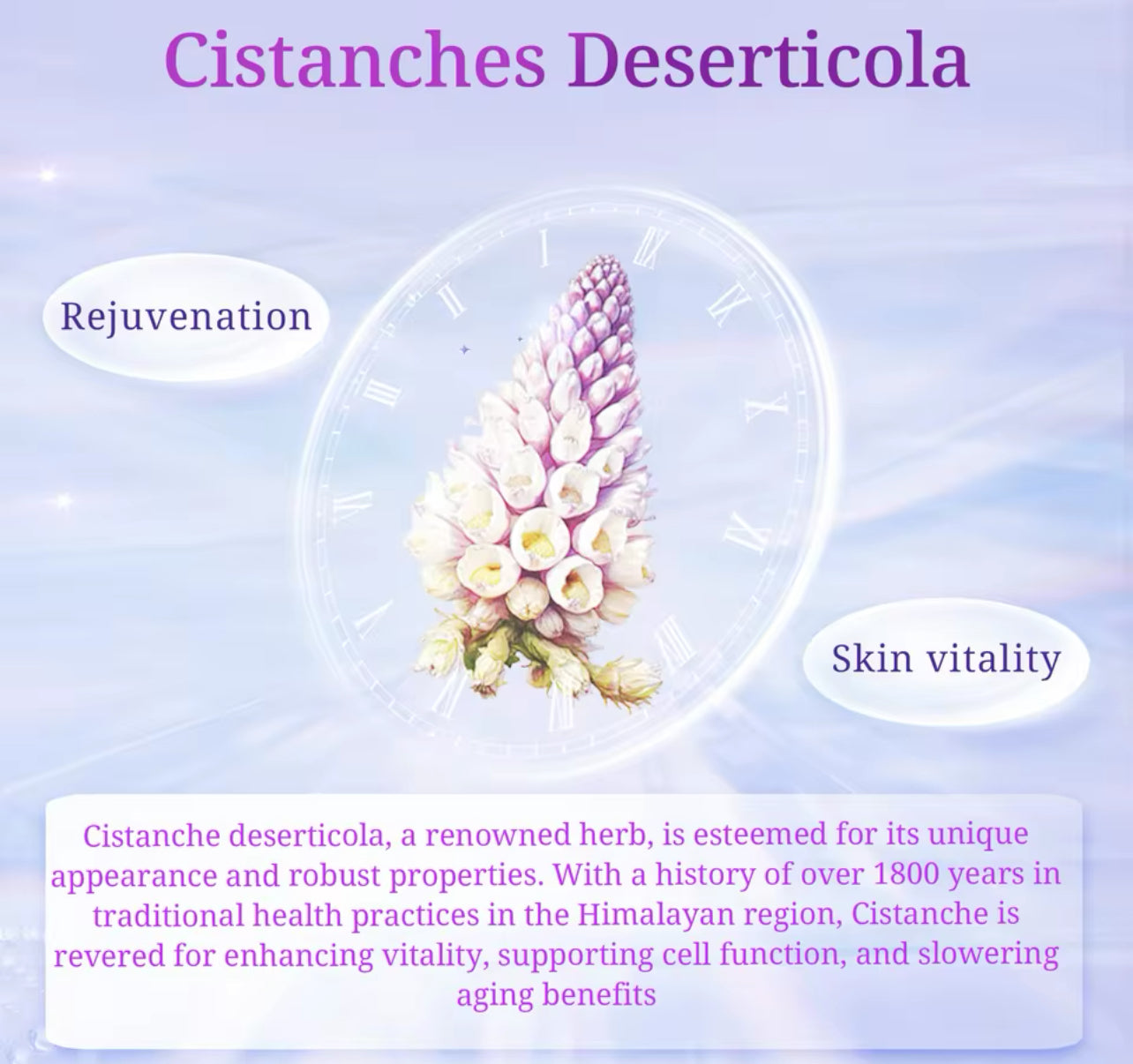 Herbal Moisturizing Bar Soap Cistanche & Hyaluron Infused