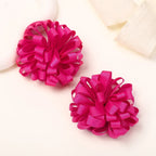 2Pcs Double Color Ribbon Flower Hairpins – Handmade Princess Hair Clips & Barrettes for Girls