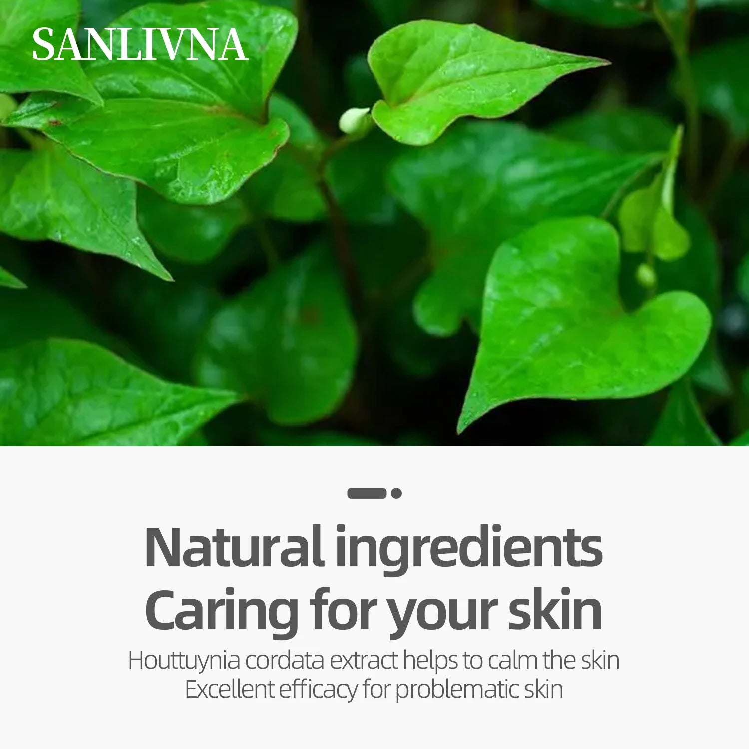 Heartleaf 77 Toning Pads – Hydrating & Pore Care with Centella, 160ml