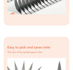 Anime Spire Individual Cashmere Eyelashes – Natural, Soft, Feathered Manga Lashes