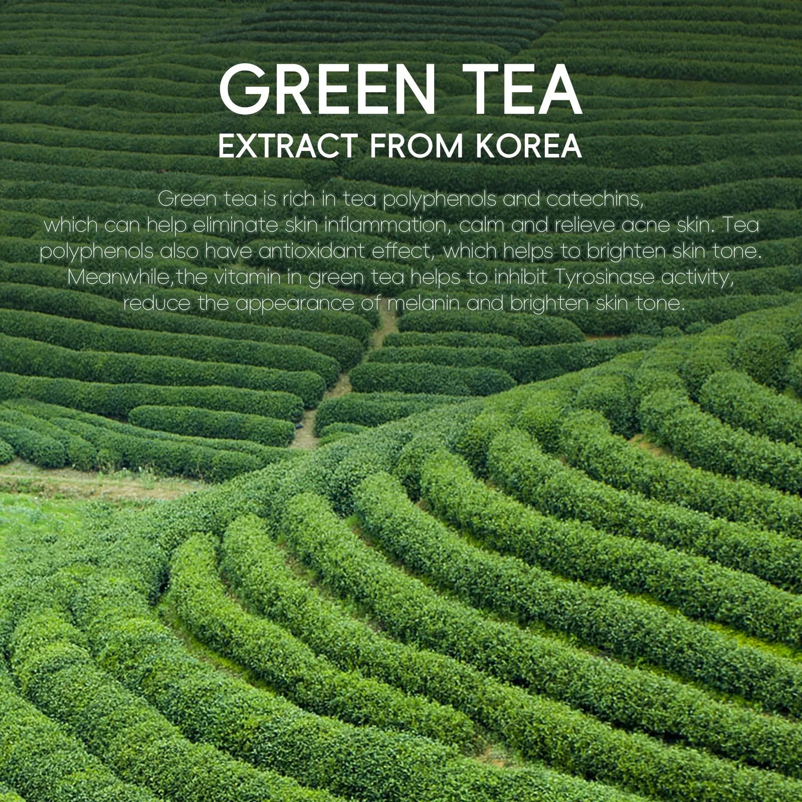 Green Tea Deep Cleanser