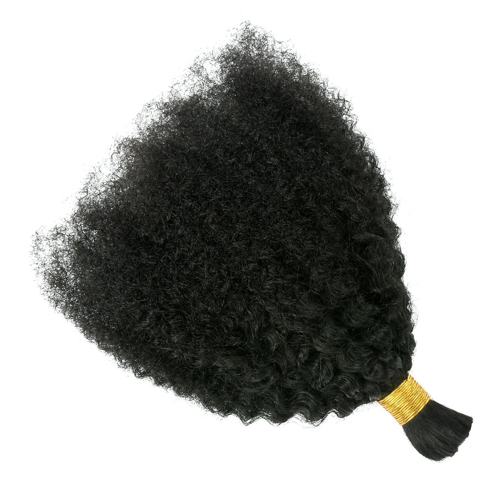 4C Afro Kinky Curly Bulk Hair – Raw Virgin Human Hair for Braiding