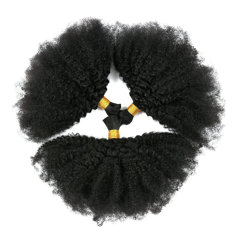 4C Afro Kinky Curly Bulk Hair – Raw Virgin Human Hair for Braiding