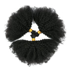 4C Afro Kinky Curly Bulk Hair – Raw Virgin Human Hair for Braiding