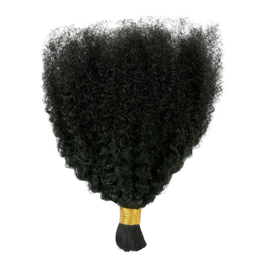 4C Afro Kinky Curly Bulk Hair – Raw Virgin Human Hair for Braiding